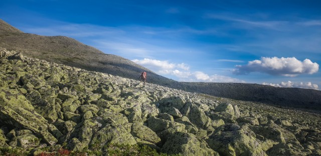 Единственная выжившая постаралась забыть о том, что видела. Трагедия группы Коровиной