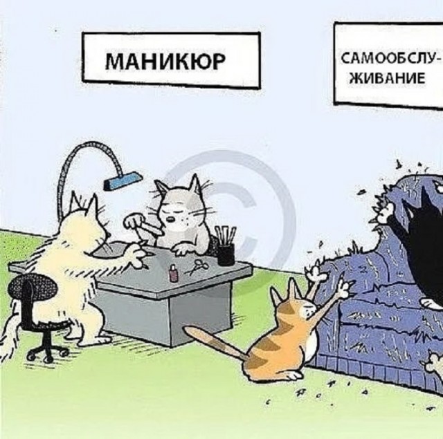 Картинки разные с надписями и без
