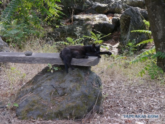 Остров Искья, Италия.