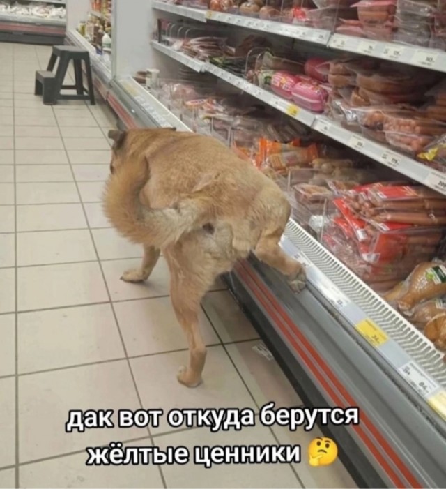 Весёлый полтишок 31.12.24