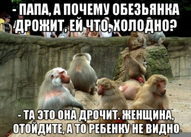 50 оттенков дичи