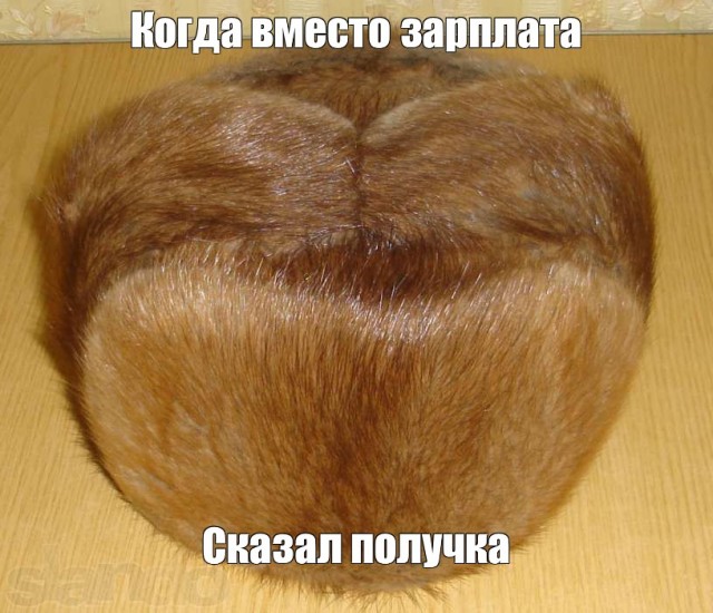 Путина шокировала  получка у студентов