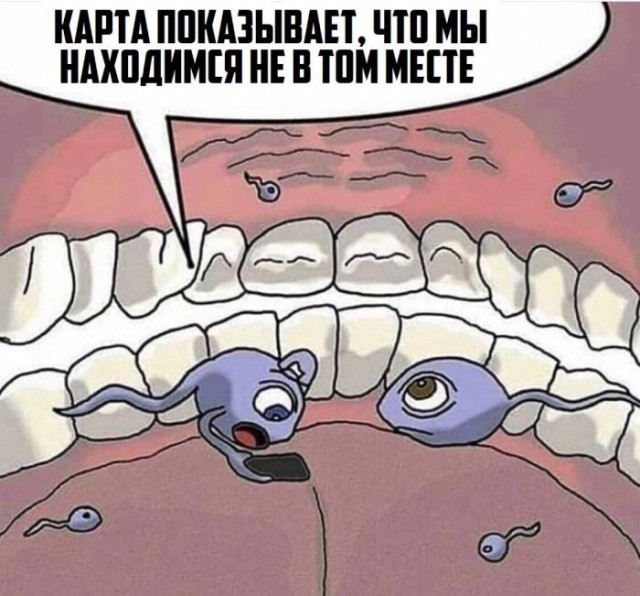 Картинки для деградации 11 (разной степени свежести)