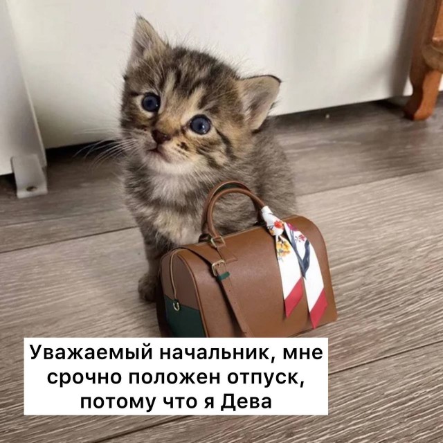 Астрологи эксперты предупреждают начальников.