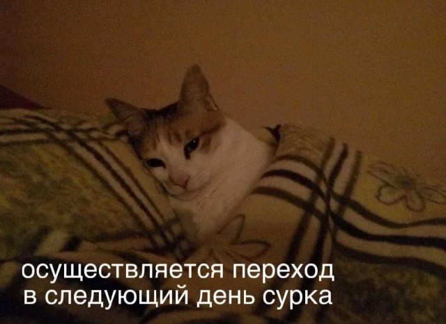 Ассорти картинок