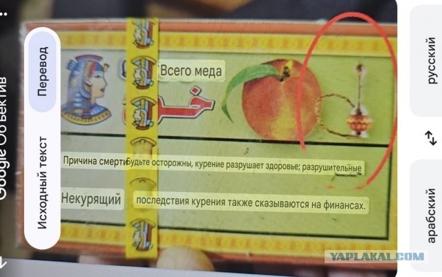 Теща привезла подарок