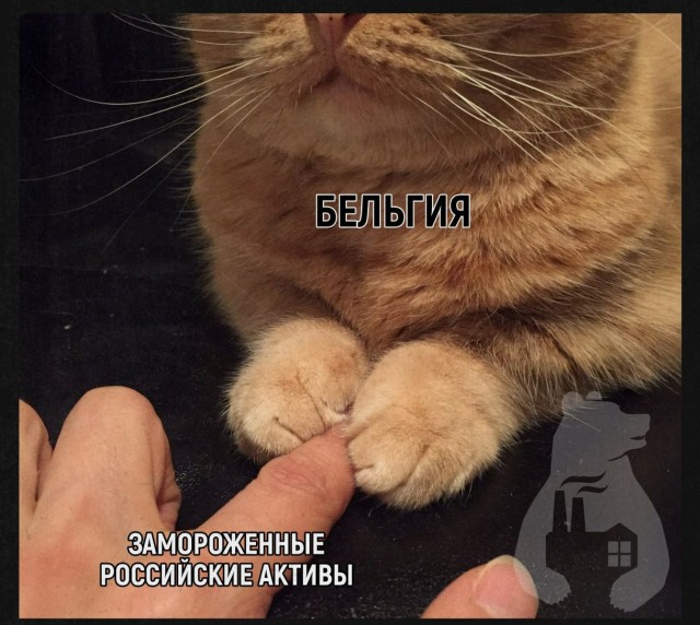 ЕК хочет обосновать конфискацию активов РФ для Киева пунктом договора ЕС о «трудностях государства-члена союза» — Politico