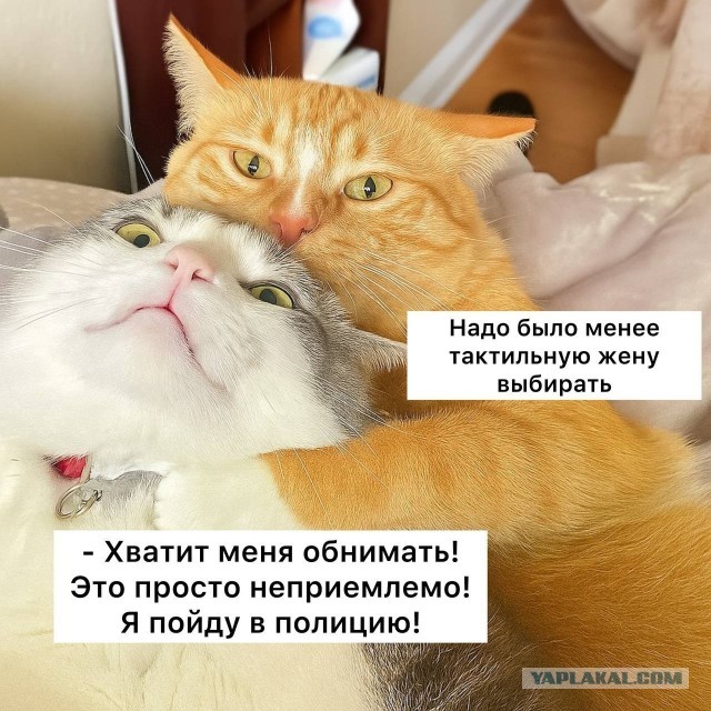 За объятья можно сесть в тюрьму, — юристы