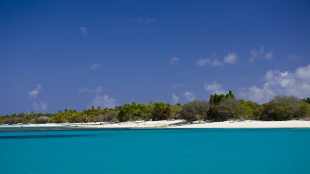 Эти удивительные островитяне...