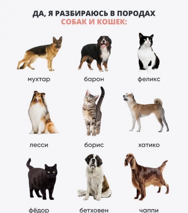 А кто такой Федор?