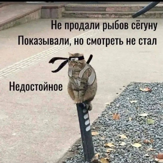 Картинки для деградации 186 (разной степени свежести)