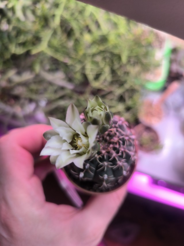 Поздравляю всех причастных с праздником!