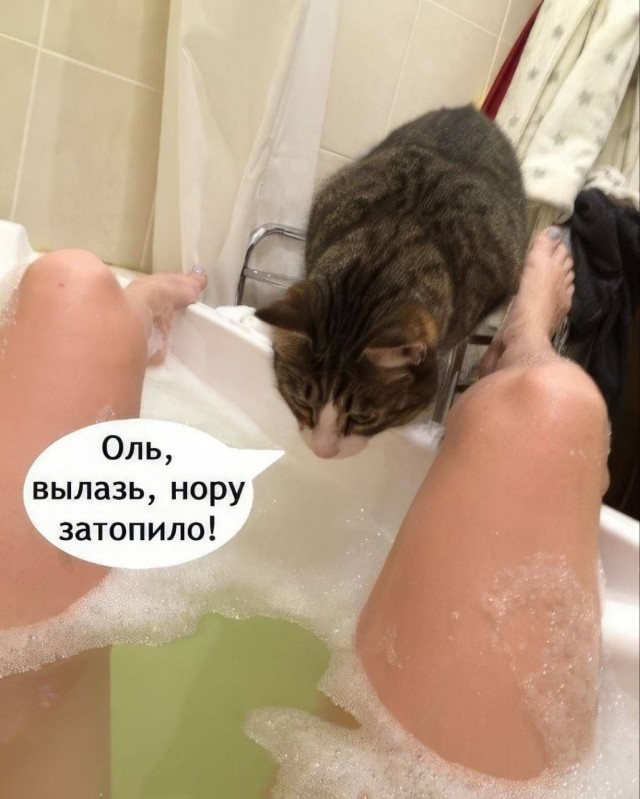 Картинки для деградации 223 (разной степени свежести)