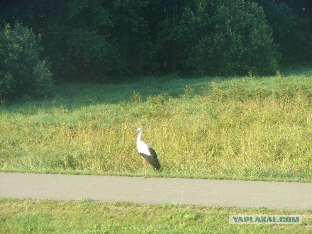 Поселок Вярска