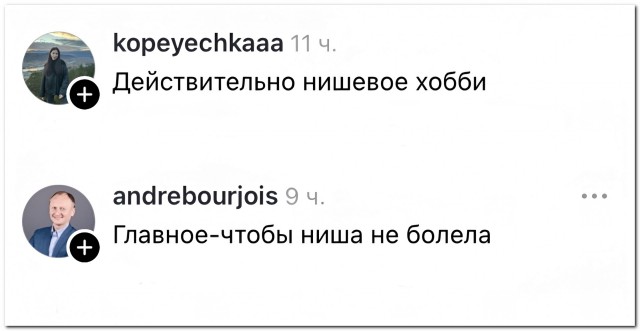 «Нишевое хобби»