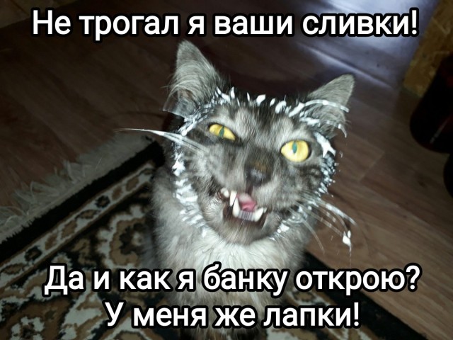 Ребят, объясните мне, человеку далёкому от деревни, что за фигня?
