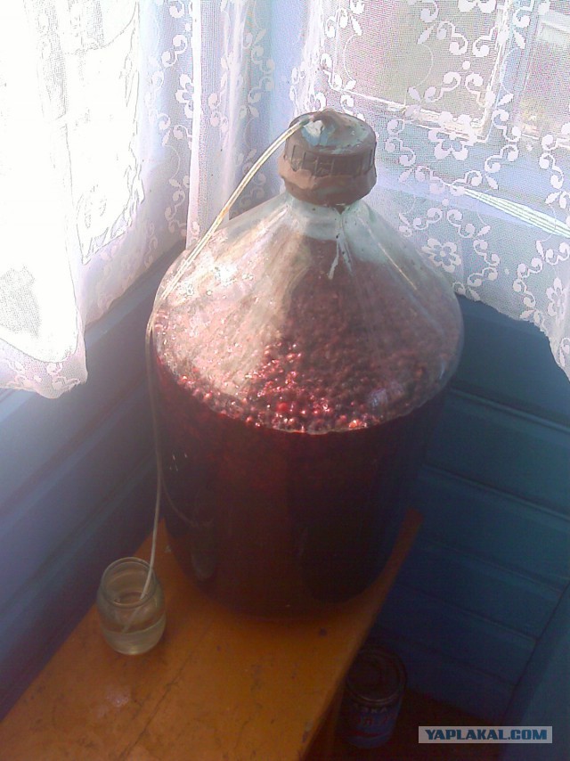 Мой ответ Польше!