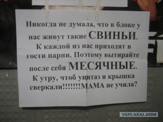 20 объявлений месяца, которыми мы гордимся