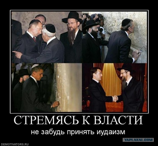 Свой среди своих