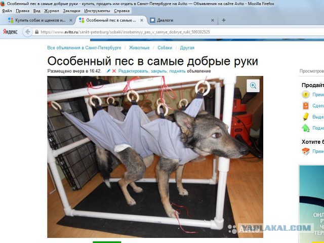 Больше, чем фото
