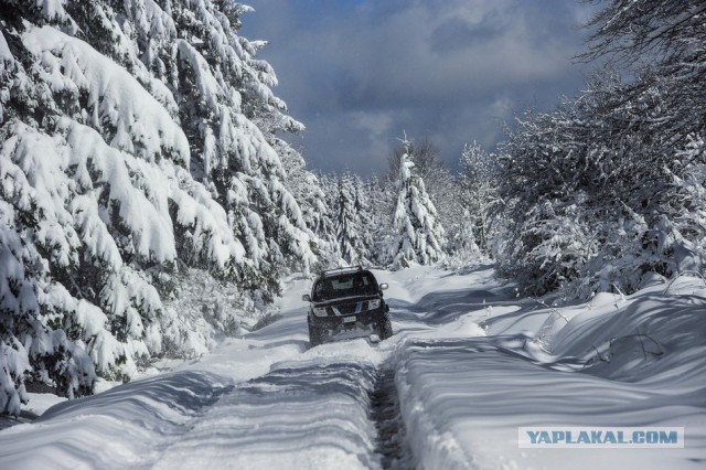 Авиакомпания предложила пассажирам 150 бесплатных билетов, если они договорятся, куда лететь