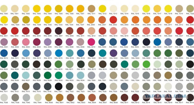 "Переводчик" женских цветов