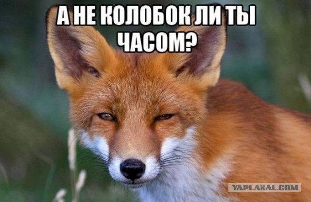 Сборная солянка картинок из разных соц.сетей