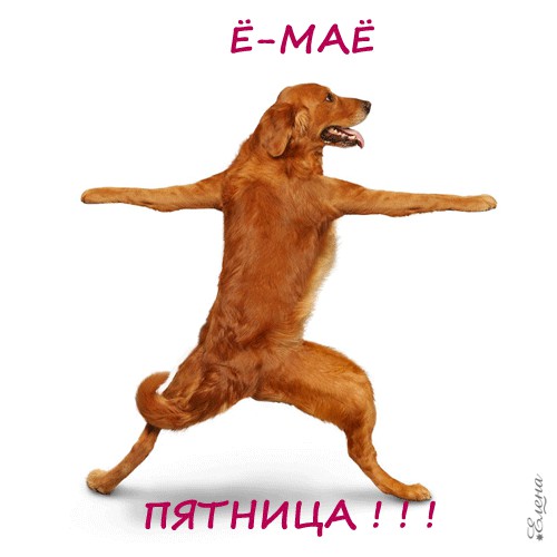 ЯПовцы работают и отдыхают