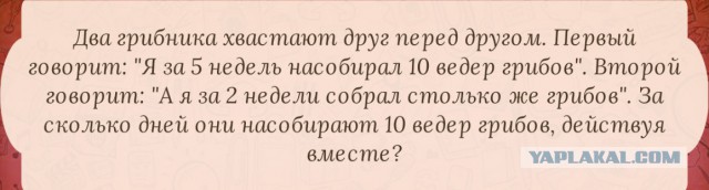 Загадки на собеседованиях