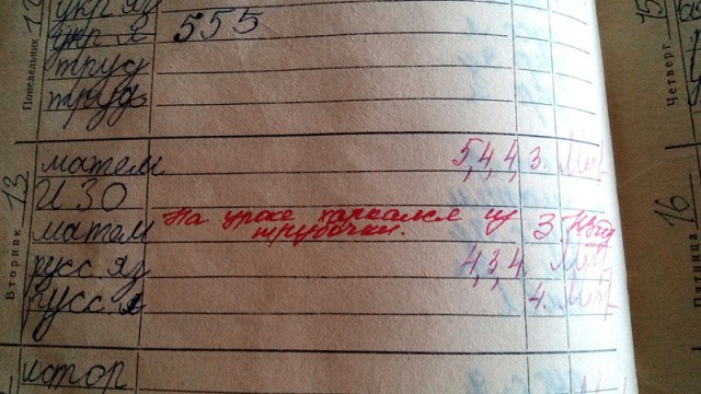 Замечания в дневниках