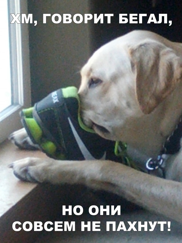 Нестандартный юмор