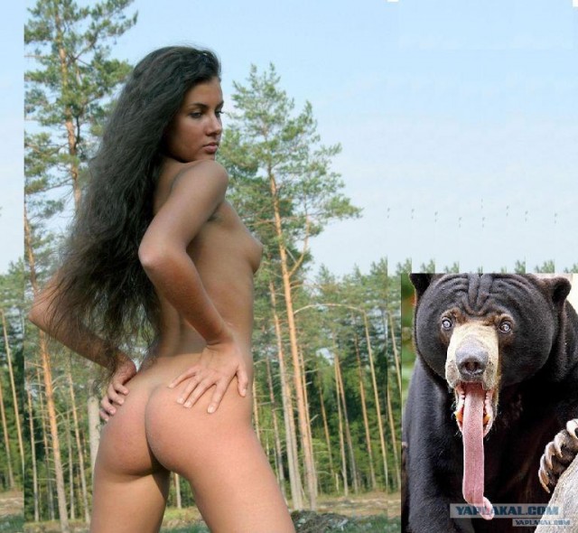 Зачем медведю такой язык?!