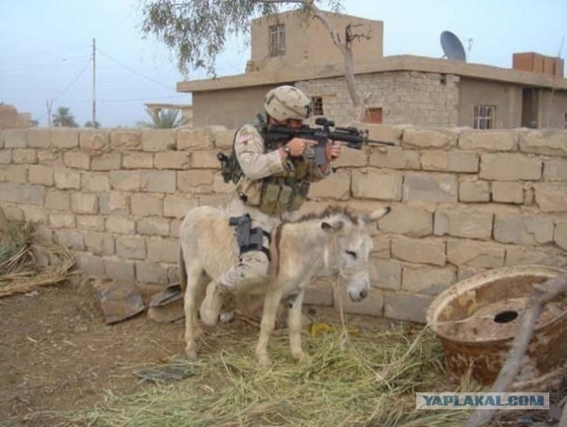 Сомали, начало путешествия