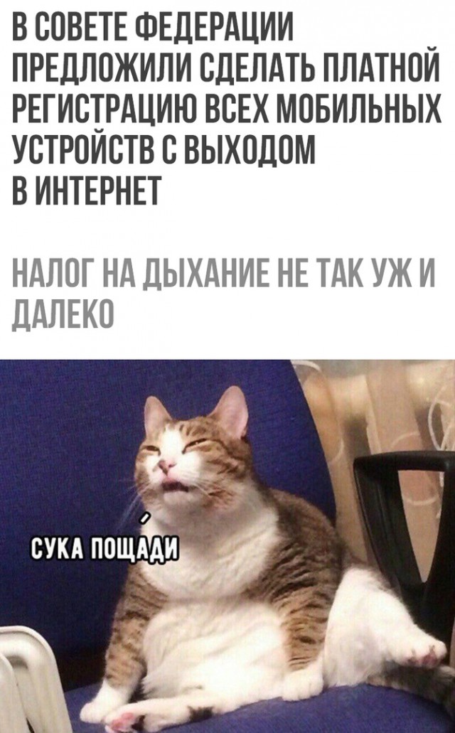 Субботний трэш и адовый расколбас