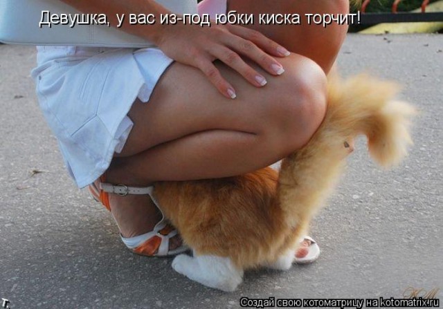 Немного картинок с надписями и без - 15