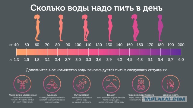 Мужчины умнеют. Женщины негодуют
