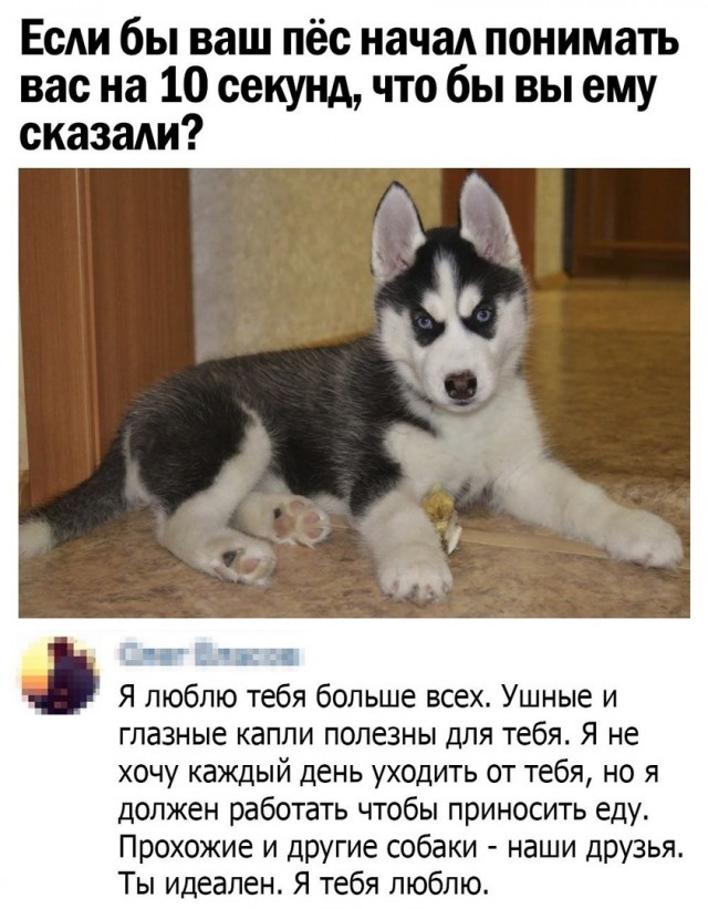 Так себе картинки 24.05.21