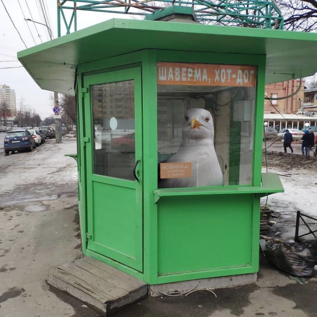 Монстры на улицах Питера.