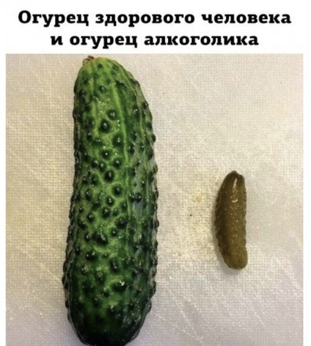Алкопост 07.08.21