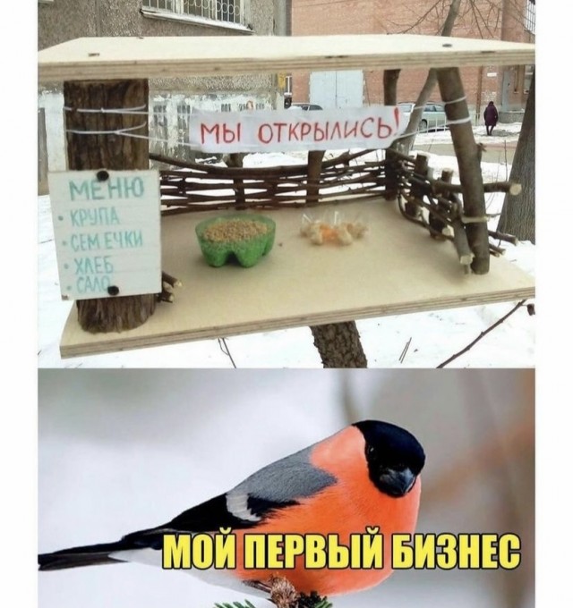 Картинки и мемы для настроения 02.11.2021