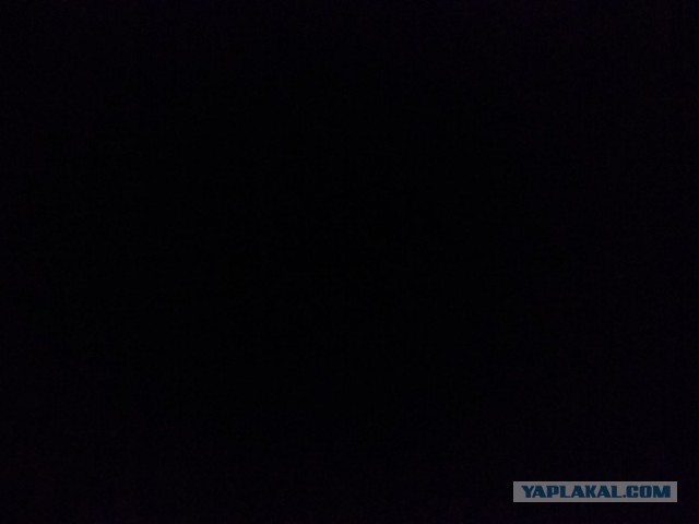 Ух, какие красавицы!