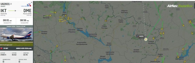 Подскажите что за "зверь" такой летает?