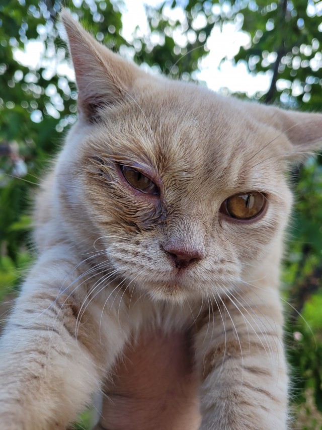 Начну котовторник чуть раньше!