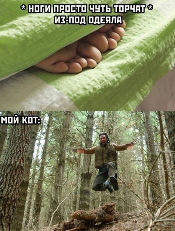 Веселые картинки для настроения!