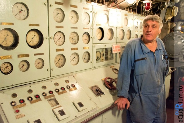 СПб глазами уставшего туриста...