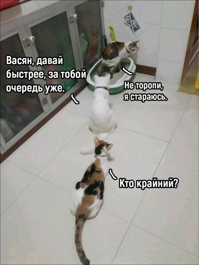 Так себе картинки 02.08.22