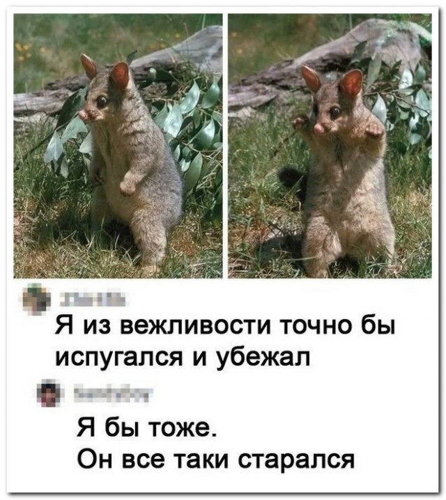 Забавные комментарии из социальных сетей (08.08.22)