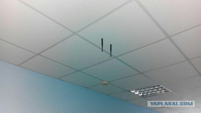 Я у мамы инженер