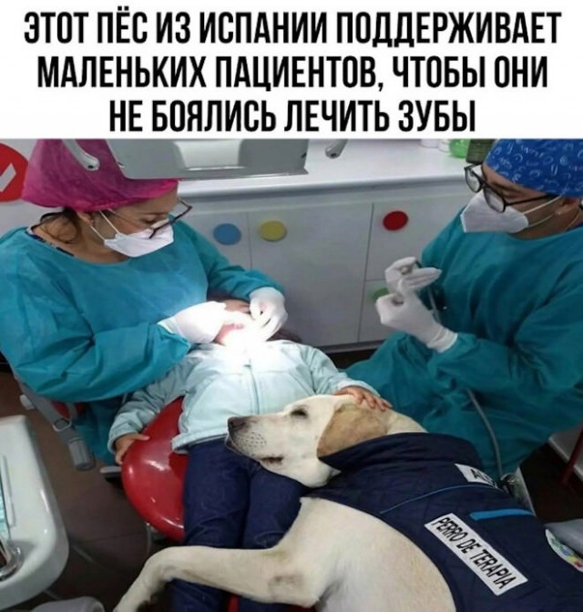 Немного картинок для настроения - 112