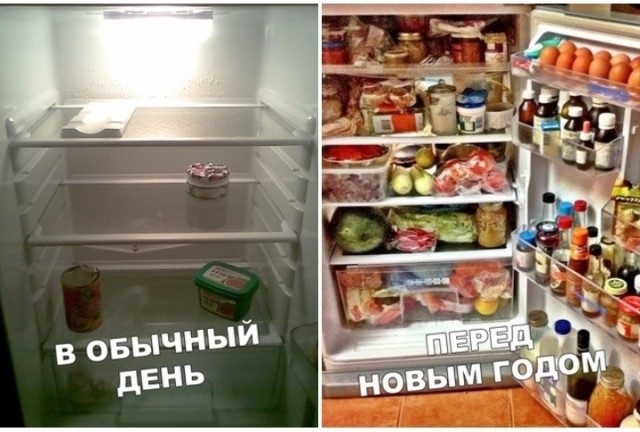 Регулярно нахожу в холодильнике зарезанный труп капусты, забытый женой полгода назад